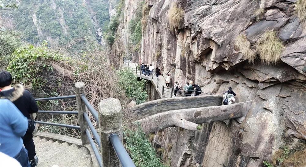 ����� -jinnianhui | jinnian